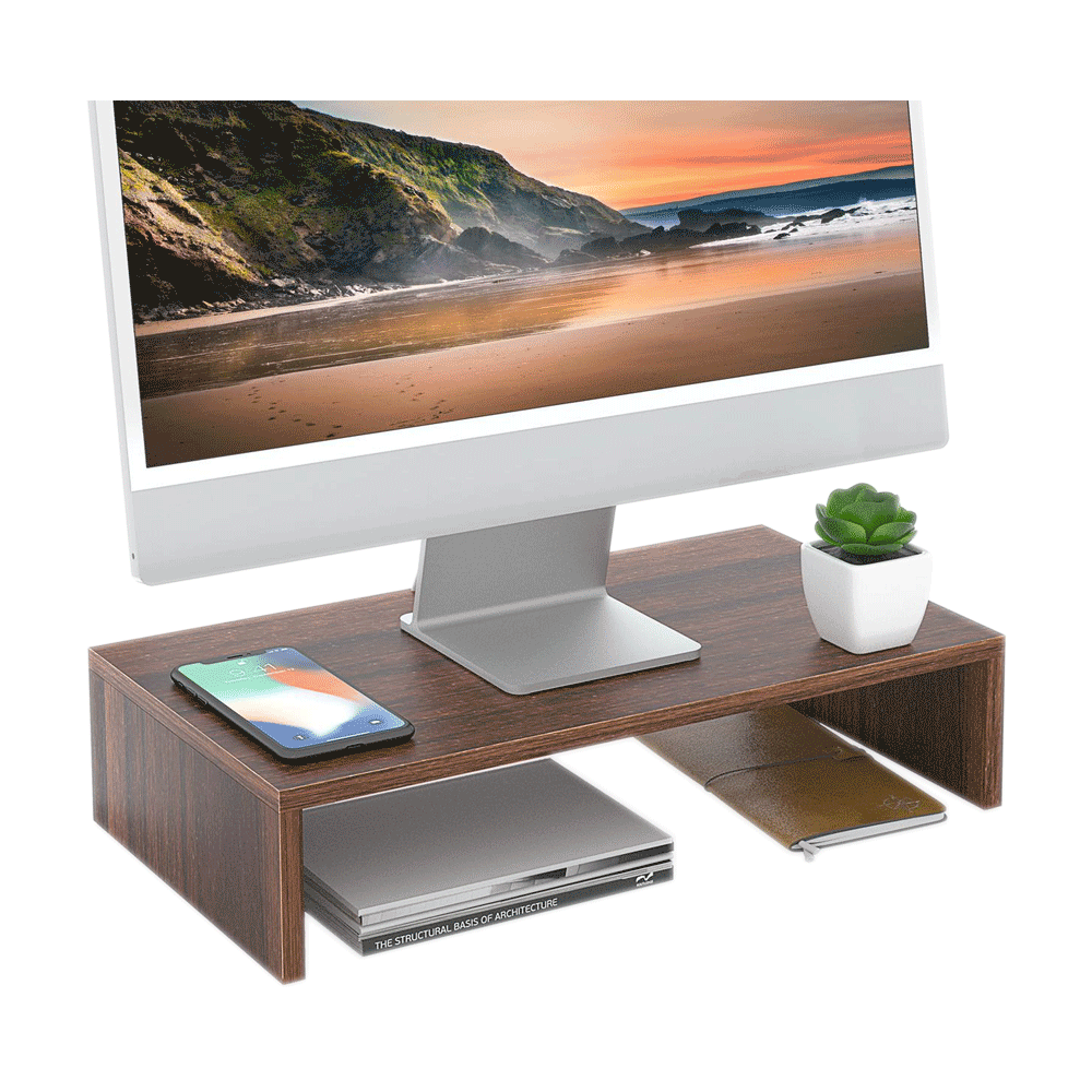 Monitor and lapstand